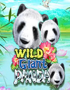 รีวิว สล็อต วอ ล เล็ ตmy pg slot เกมสนุกๆ รางวัลโดนๆ